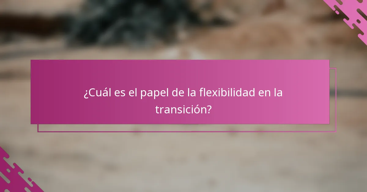 ¿Cuál es el papel de la flexibilidad en la transición?